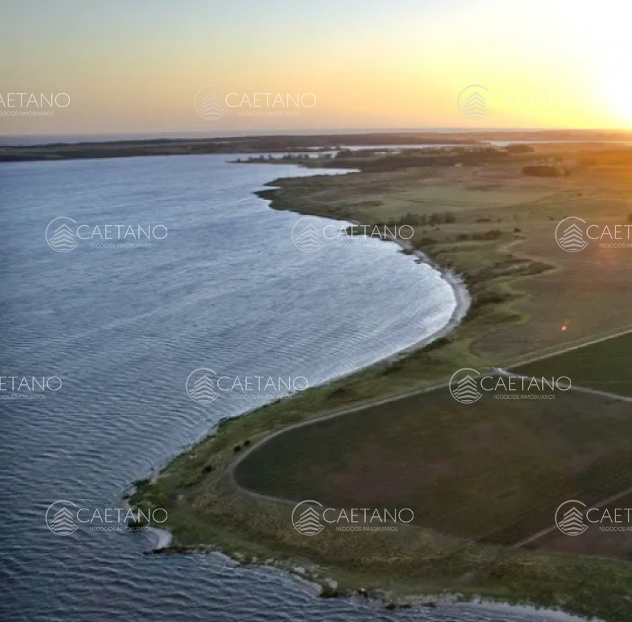 Punta Ballena - GoPunta - Portal Inmobiliario de Punta del Este - Maldonado