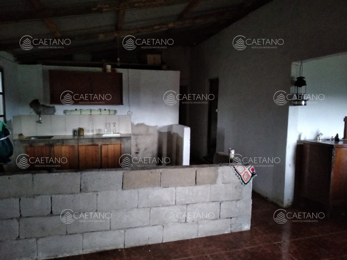 Aiguá - GoPunta - Portal Inmobiliario de Punta del Este - Maldonado