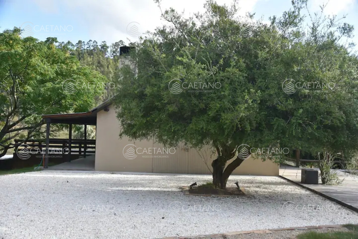 Las Cañas - GoPunta - Portal Inmobiliario de Punta del Este - Maldonado