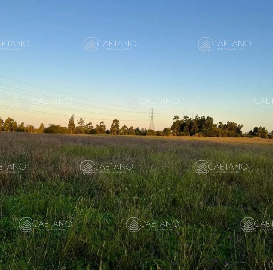 Zona Rural - GoPunta - Portal Inmobiliario de Punta del Este - Maldonado