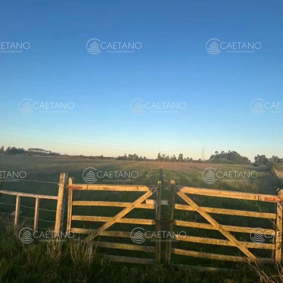 Zona Rural - GoPunta - Portal Inmobiliario de Punta del Este - Maldonado