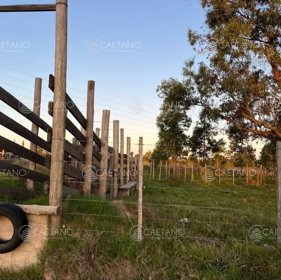 Zona Rural - GoPunta - Portal Inmobiliario de Punta del Este - Maldonado