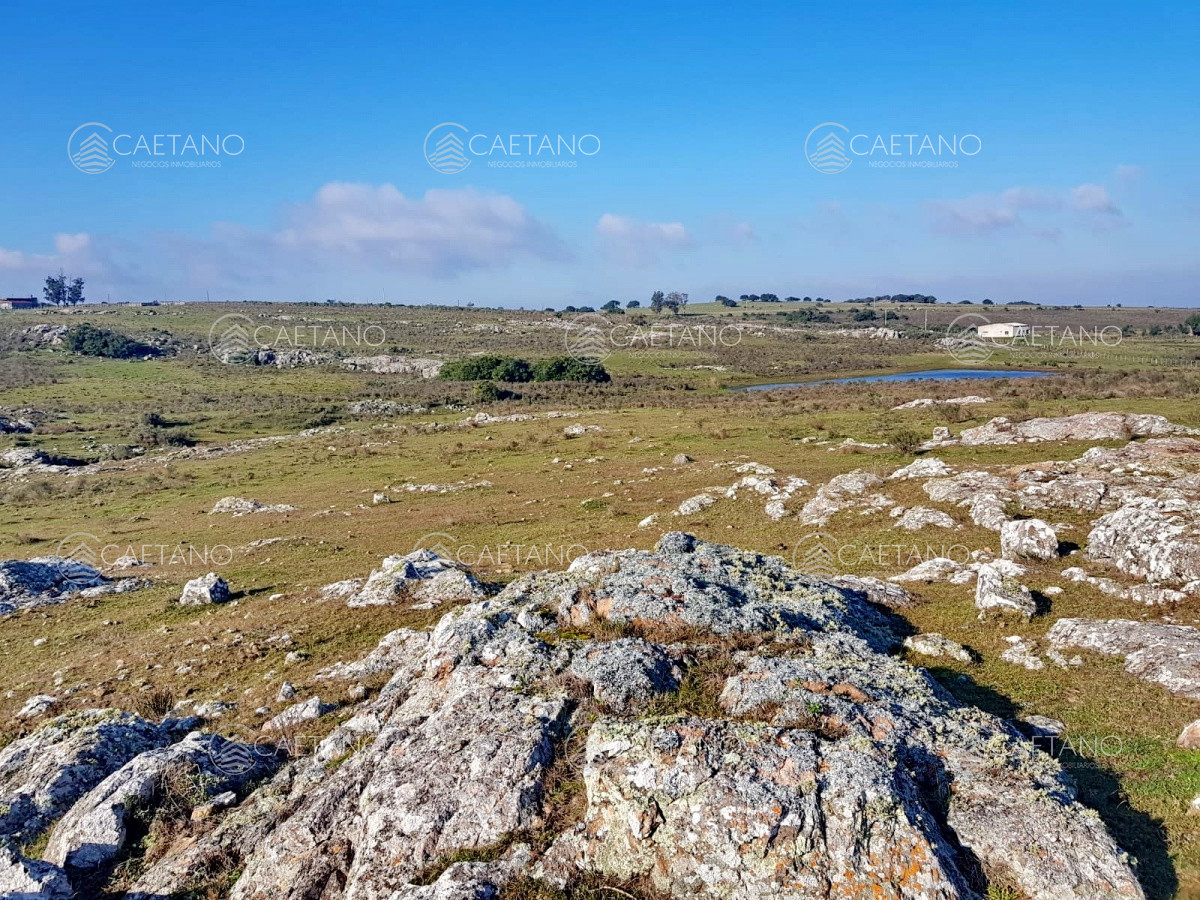 Zona Rural - GoPunta - Portal Inmobiliario de Punta del Este - Maldonado