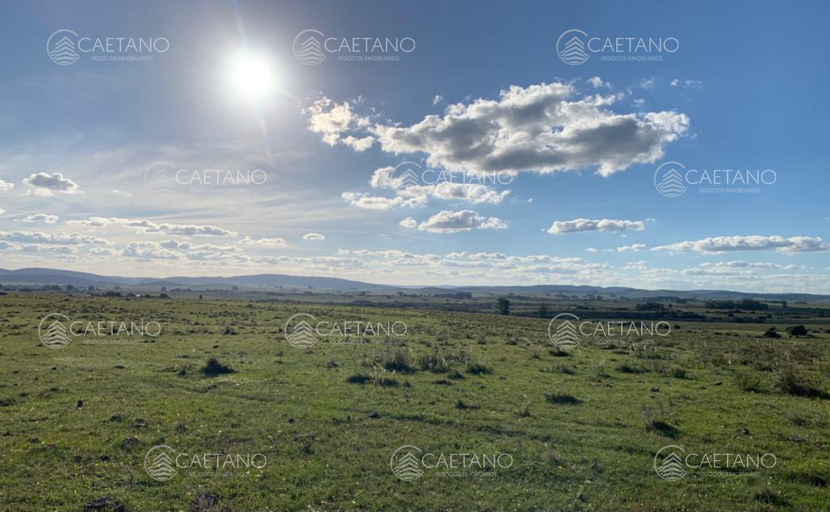 Chacra en venta 5 has Ruta 39