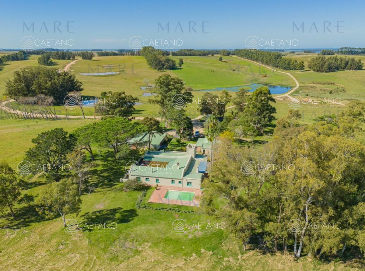 Venta chacra 73 hectáreas, José Ignacio. Maldonado.  - DMC16031H