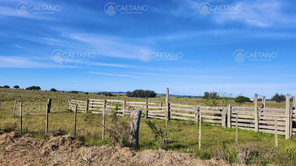 Venta chacras linderas 4has Pueblo Edén