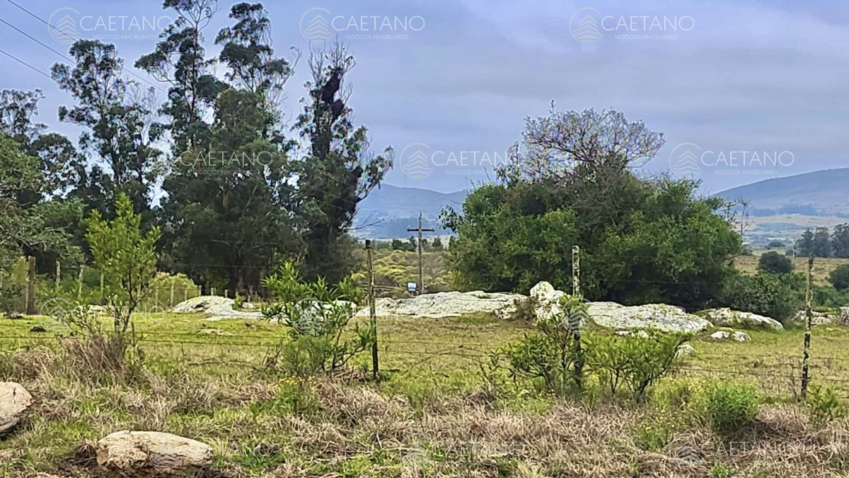 Pueblo Eden - GoPunta - Portal Inmobiliario de Punta del Este - Maldonado