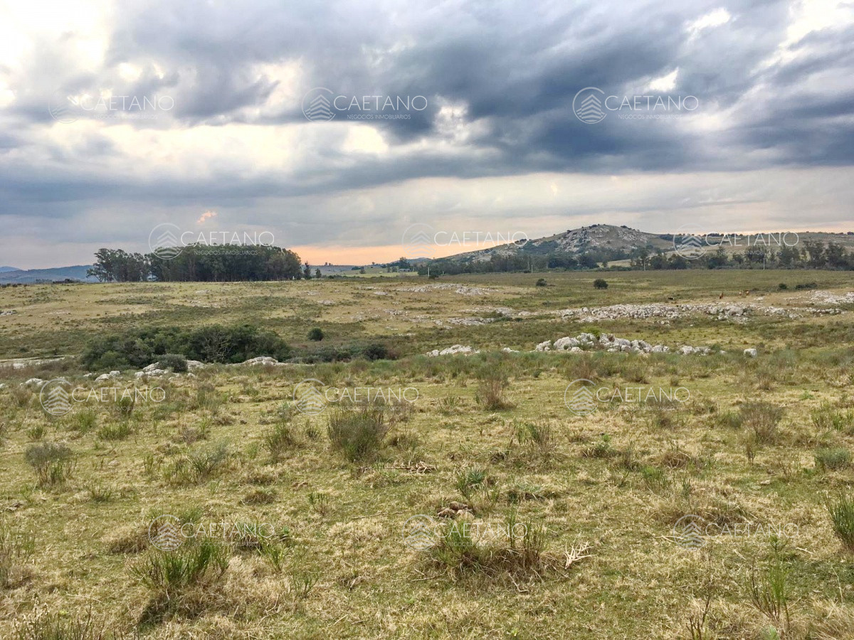 Zona Rural - GoPunta - Portal Inmobiliario de Punta del Este - Maldonado