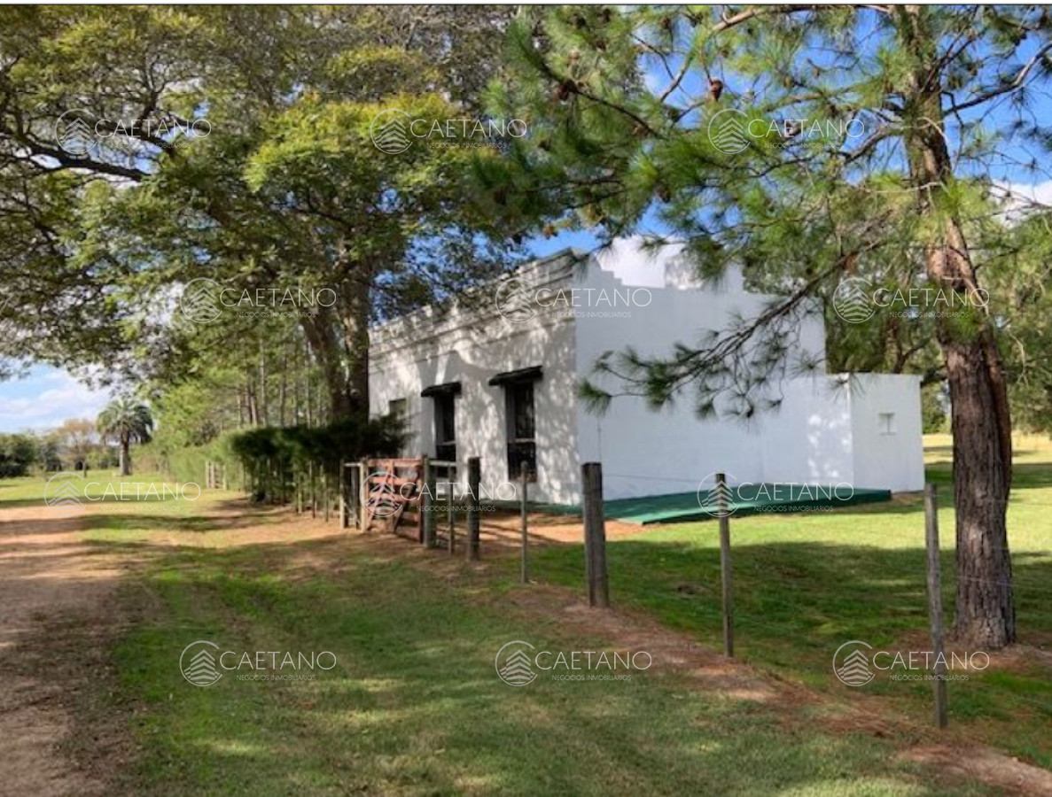 Venta chacra 13 hectáreas. José Ignacio. - GoPunta - Portal Inmobiliario de Punta del Este - Maldonado