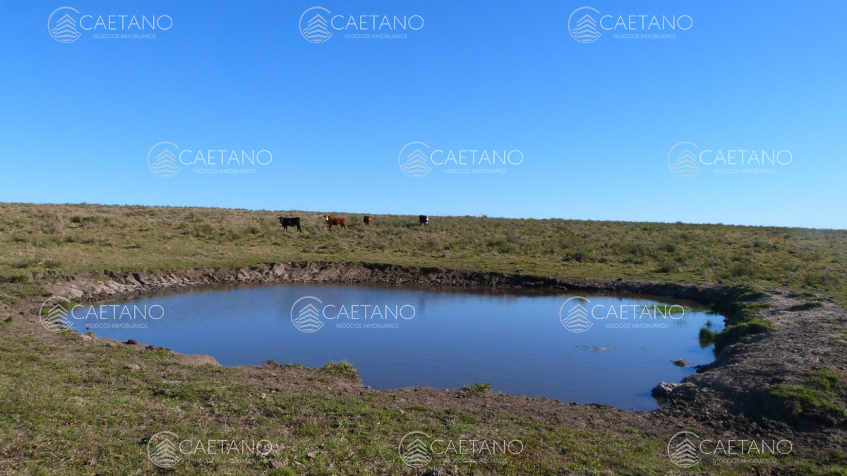 San Carlos - GoPunta - Portal Inmobiliario de Punta del Este - Maldonado