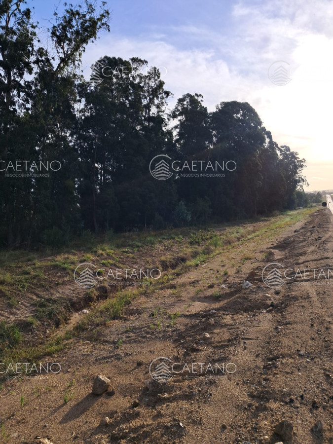 Garzon - GoPunta - Portal Inmobiliario de Punta del Este - Maldonado