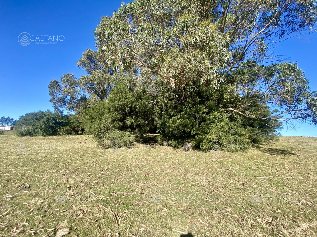 Pueblo Eden - GoPunta - Portal Inmobiliario de Punta del Este - Maldonado