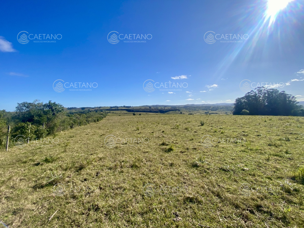 Pueblo Eden - GoPunta - Portal Inmobiliario de Punta del Este - Maldonado