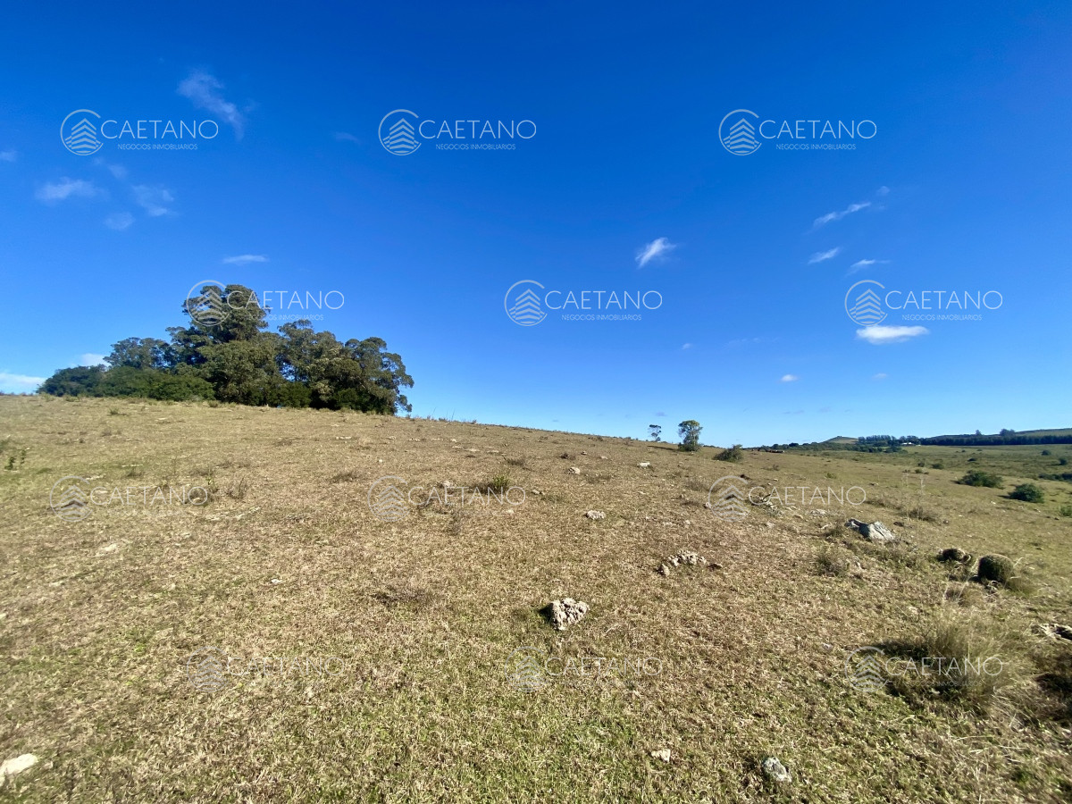 Pueblo Eden - GoPunta - Portal Inmobiliario de Punta del Este - Maldonado