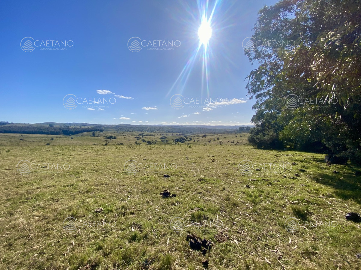 Pueblo Eden - GoPunta - Portal Inmobiliario de Punta del Este - Maldonado