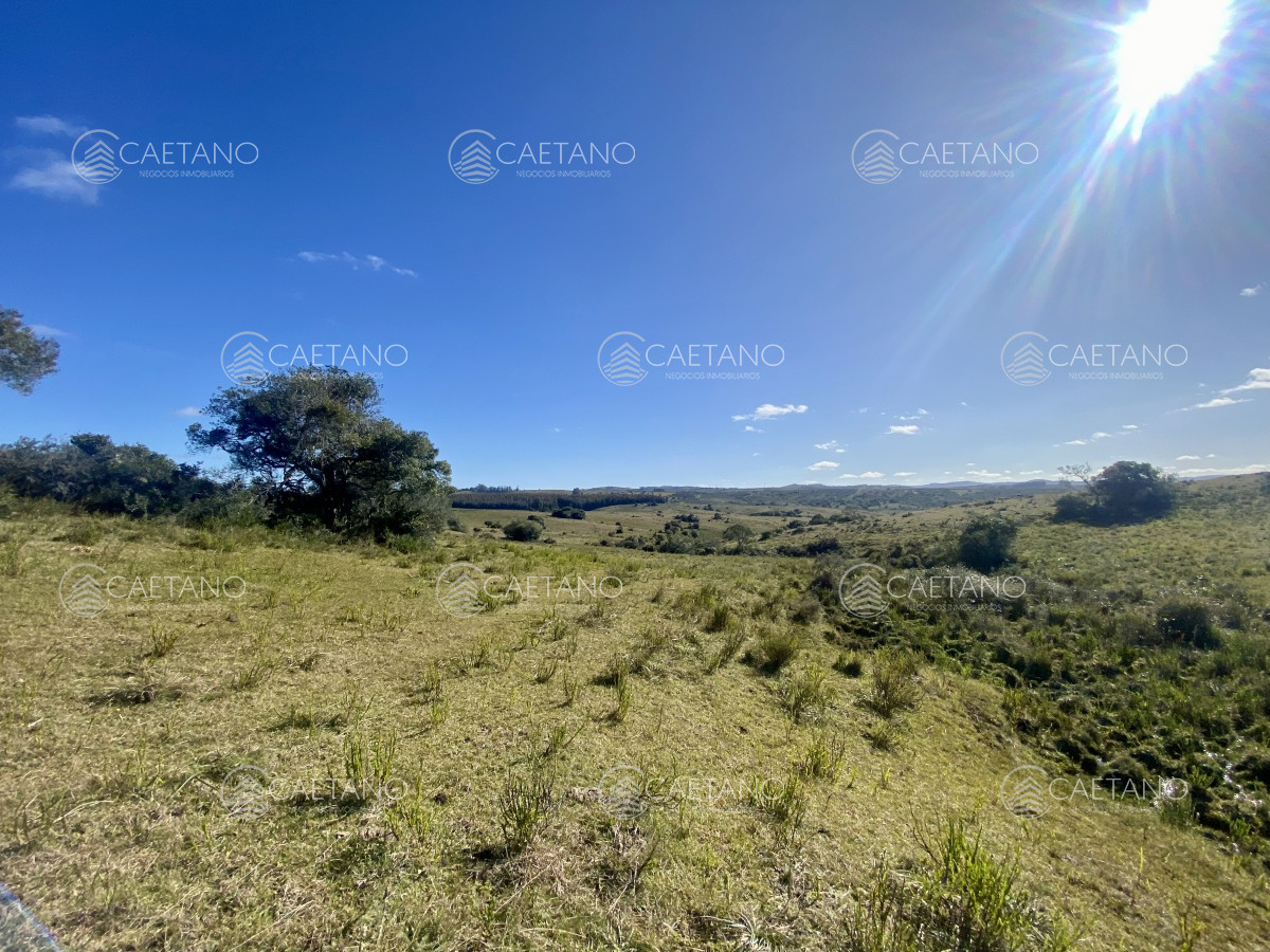 Pueblo Eden - GoPunta - Portal Inmobiliario de Punta del Este - Maldonado