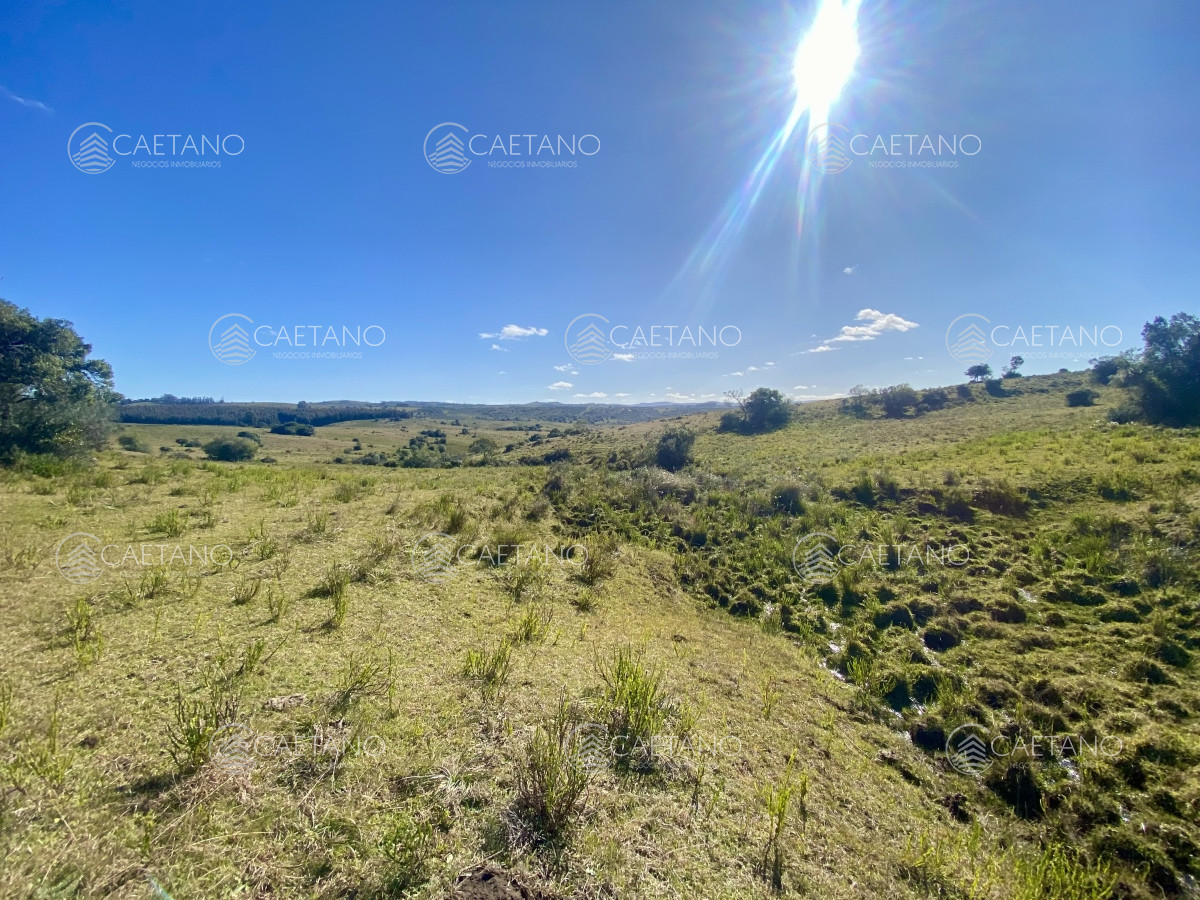 Pueblo Eden - GoPunta - Portal Inmobiliario de Punta del Este - Maldonado