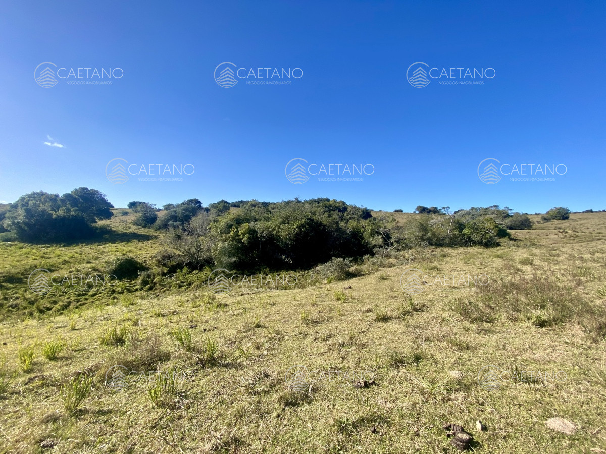 Pueblo Eden - GoPunta - Portal Inmobiliario de Punta del Este - Maldonado
