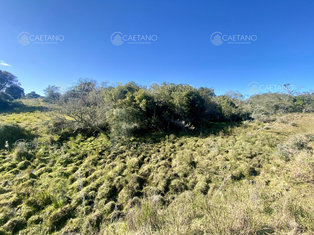 Pueblo Eden - GoPunta - Portal Inmobiliario de Punta del Este - Maldonado