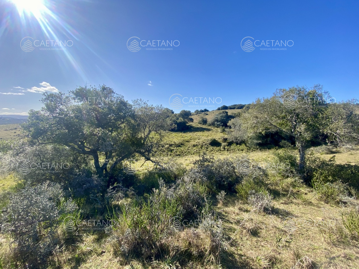 Pueblo Eden - GoPunta - Portal Inmobiliario de Punta del Este - Maldonado