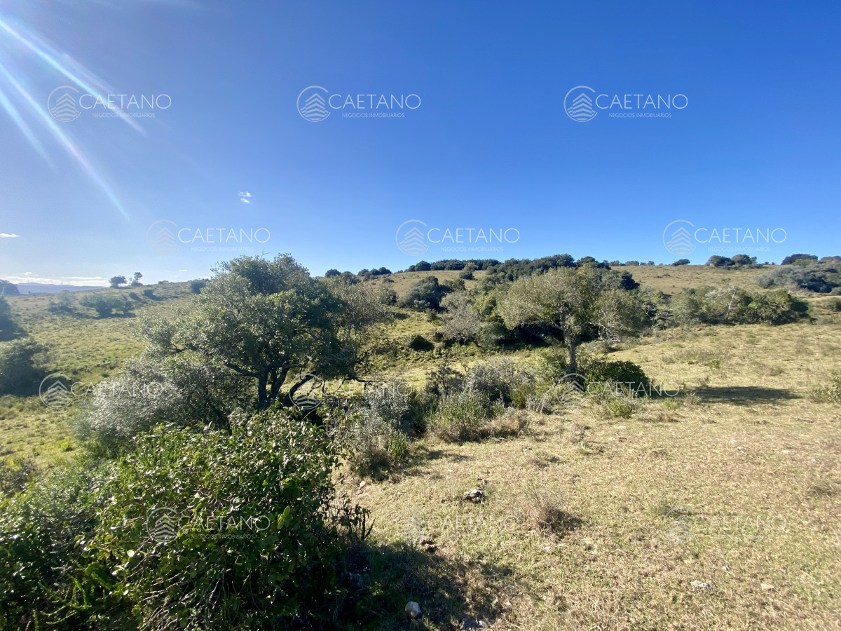 Pueblo Eden - GoPunta - Portal Inmobiliario de Punta del Este - Maldonado