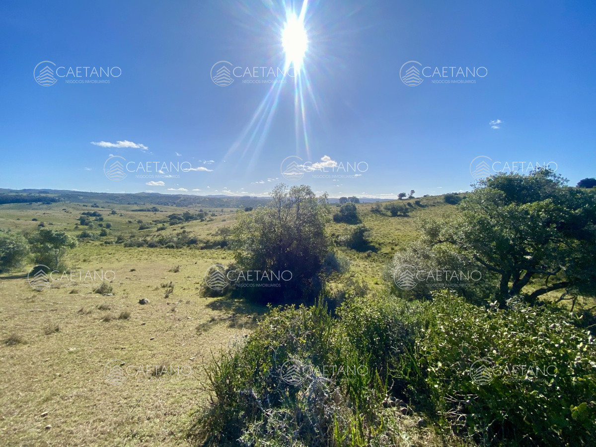 Pueblo Eden - GoPunta - Portal Inmobiliario de Punta del Este - Maldonado