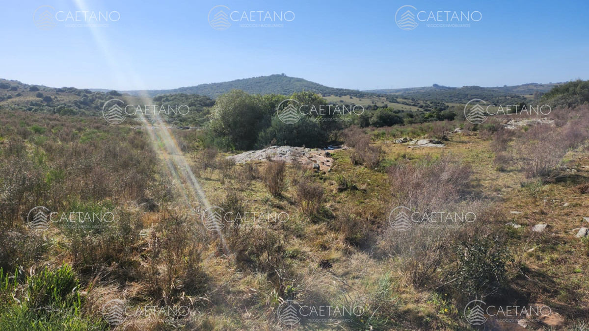 Pueblo Eden - GoPunta - Portal Inmobiliario de Punta del Este - Maldonado