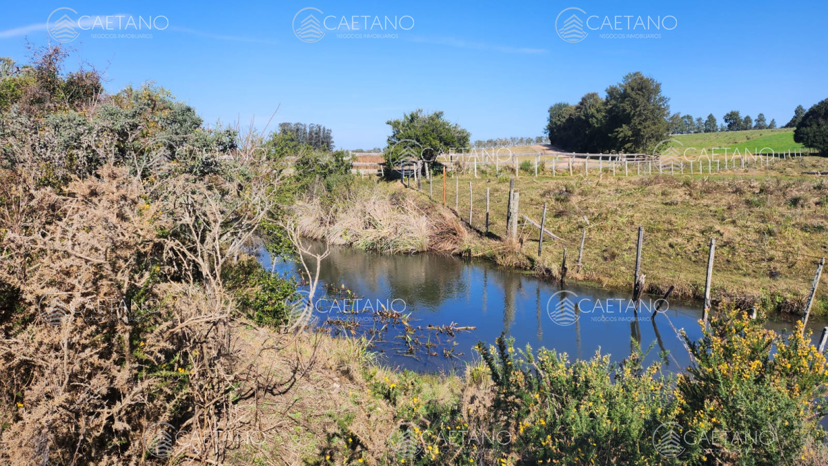 Pueblo Eden - GoPunta - Portal Inmobiliario de Punta del Este - Maldonado