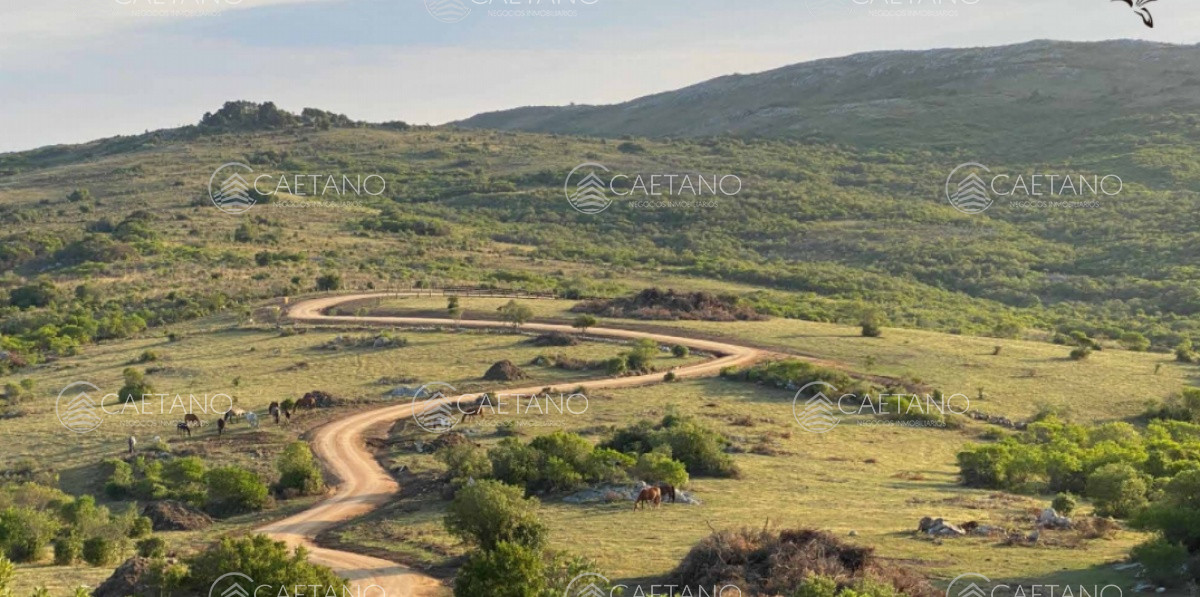 Venta chacra 5 hectáreas. Pueblo Edén, Ruta 12 Maldonado.  - DMC14437H