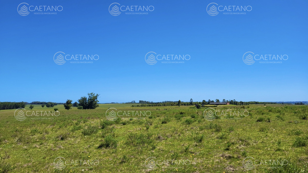 José Ignacio - GoPunta - Portal Inmobiliario de Punta del Este - Maldonado