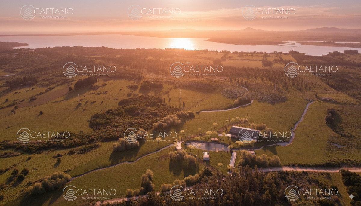 Venta chacra. Punta Ballena, Maldonado.  - DMC17298H