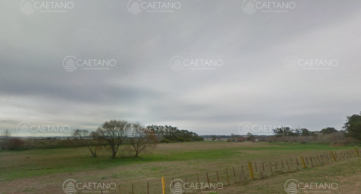 El Placer - GoPunta - Portal Inmobiliario de Punta del Este - Maldonado
