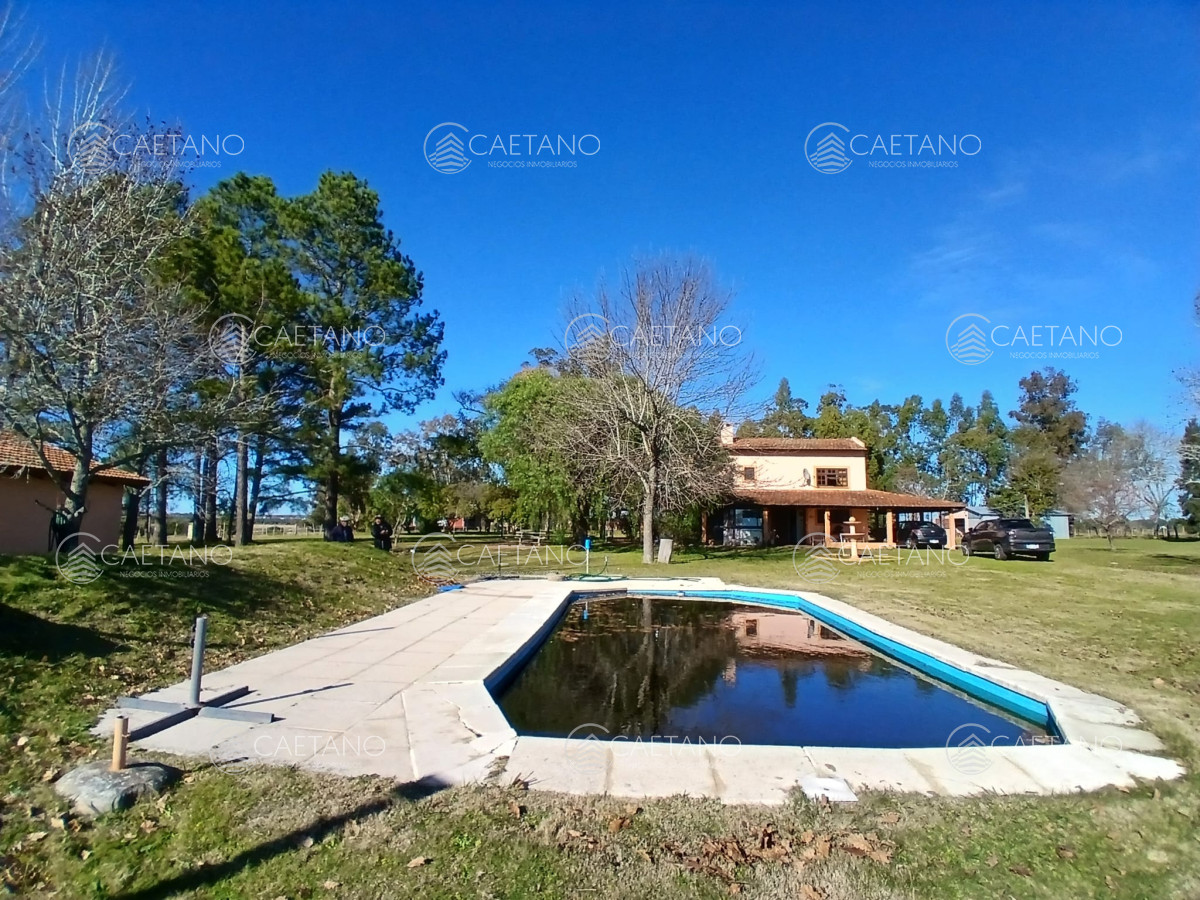 Camino de los Ceibos - GoPunta - Portal Inmobiliario de Punta del Este - Maldonado