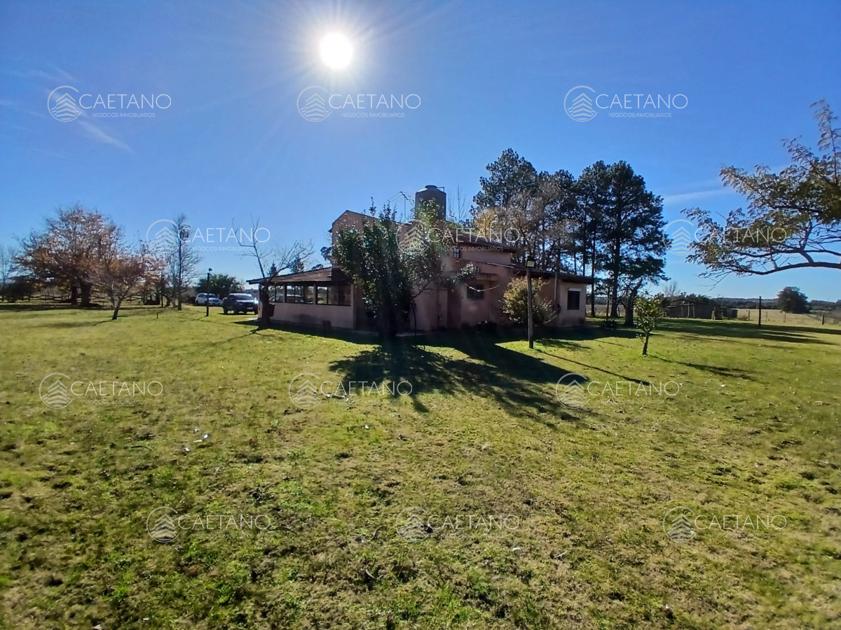 Camino de los Ceibos - GoPunta - Portal Inmobiliario de Punta del Este - Maldonado