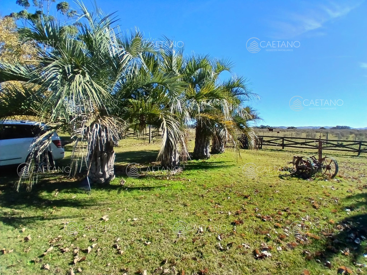 Camino de los Ceibos - GoPunta - Portal Inmobiliario de Punta del Este - Maldonado