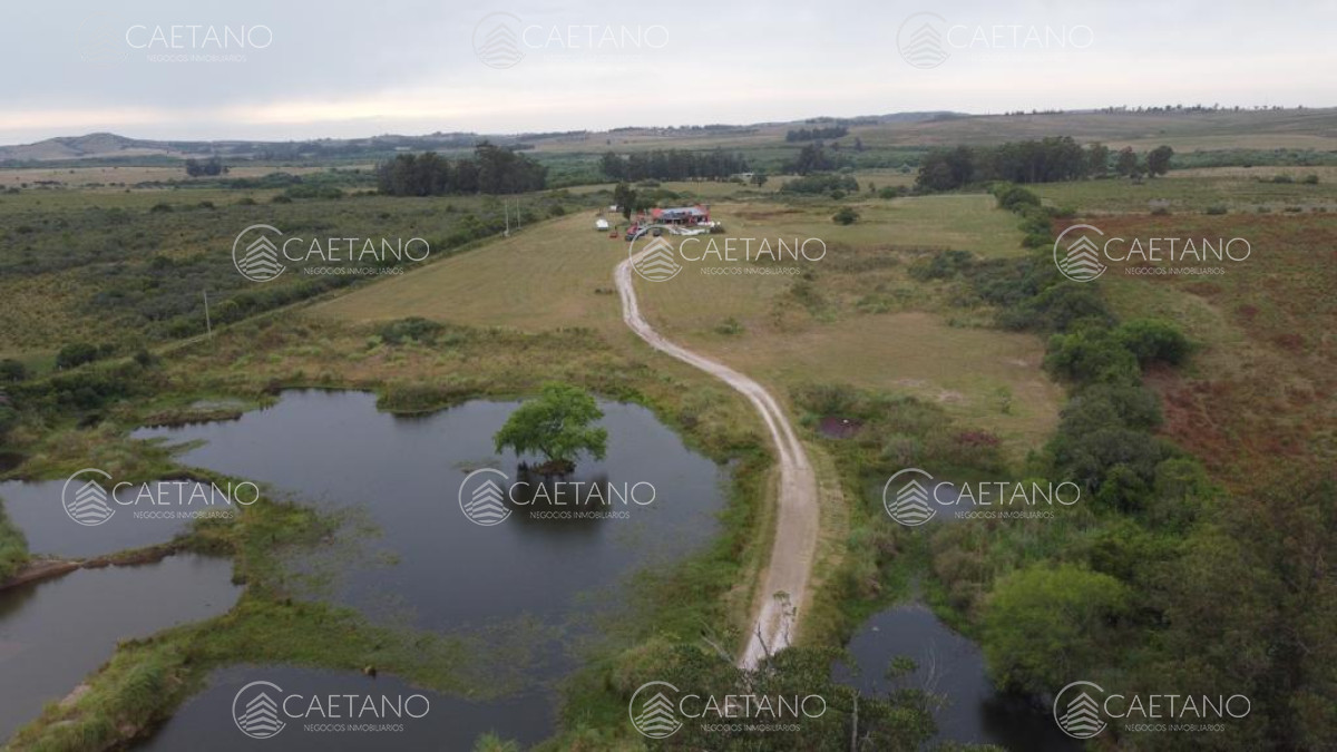 Pan de Azucar - GoPunta - Portal Inmobiliario de Punta del Este - Maldonado
