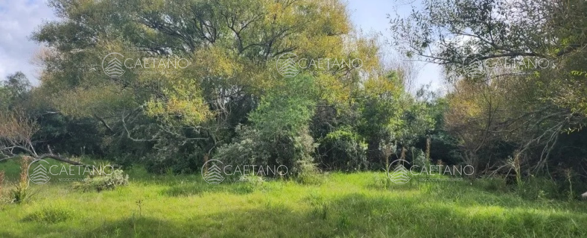 Pueblo Eden - GoPunta - Portal Inmobiliario de Punta del Este - Maldonado