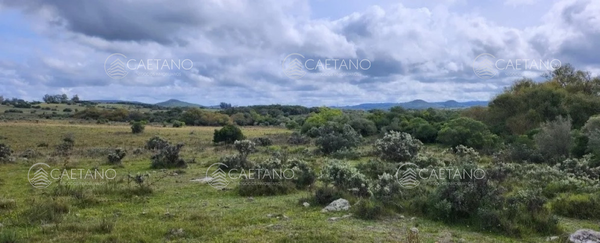 Pueblo Eden - GoPunta - Portal Inmobiliario de Punta del Este - Maldonado