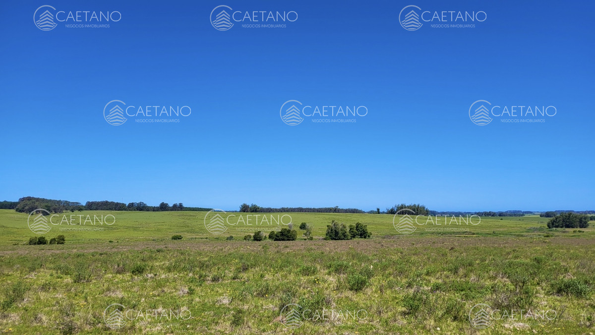 José Ignacio - GoPunta - Portal Inmobiliario de Punta del Este - Maldonado