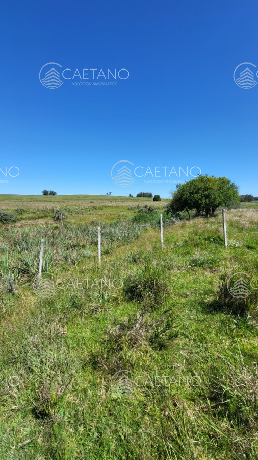 José Ignacio - GoPunta - Portal Inmobiliario de Punta del Este - Maldonado