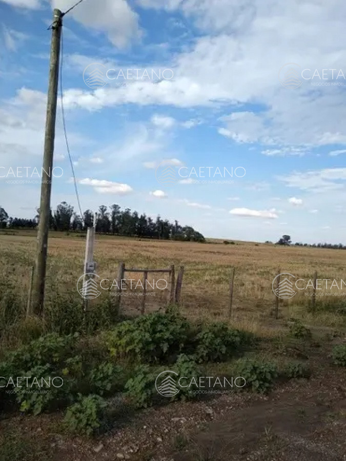 Zona Rural - GoPunta - Portal Inmobiliario de Punta del Este - Maldonado