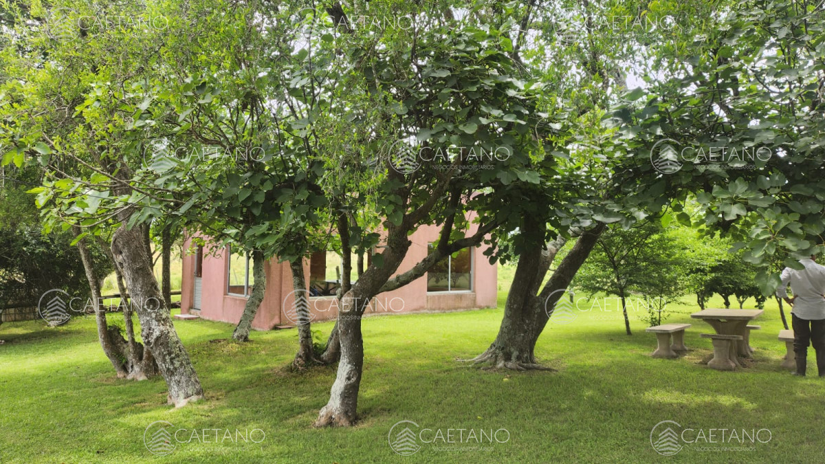 Pueblo Eden - GoPunta - Portal Inmobiliario de Punta del Este - Maldonado