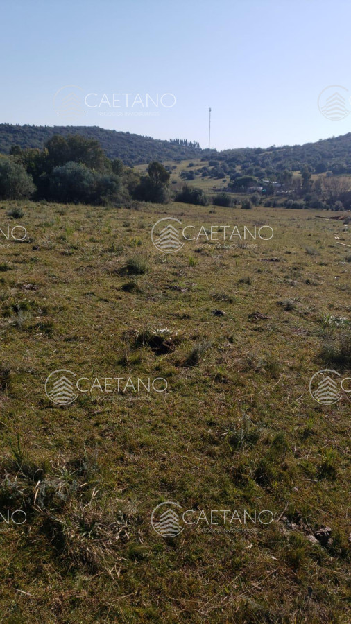 Zona Rural - GoPunta - Portal Inmobiliario de Punta del Este - Maldonado
