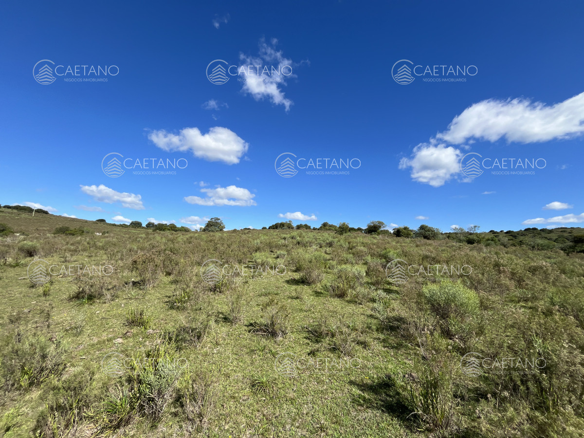 Pueblo Eden - GoPunta - Portal Inmobiliario de Punta del Este - Maldonado