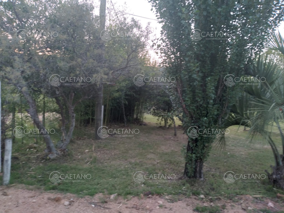 Ruta 39 - GoPunta - Portal Inmobiliario de Punta del Este - Maldonado