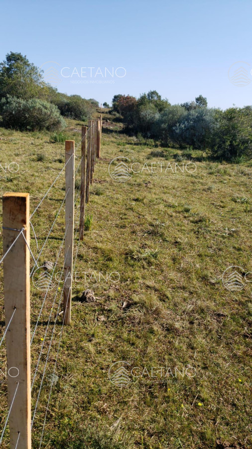 Zona Rural - GoPunta - Portal Inmobiliario de Punta del Este - Maldonado