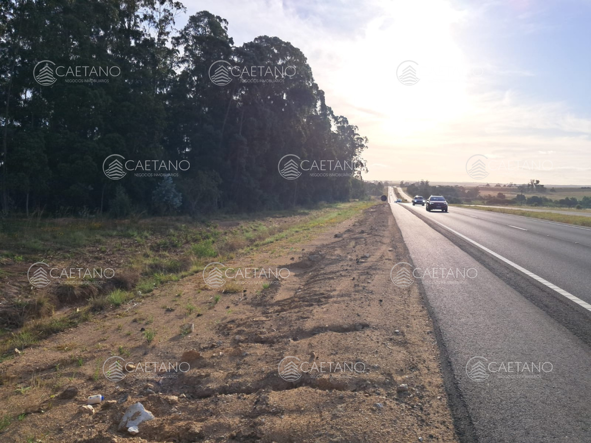 Garzon - GoPunta - Portal Inmobiliario de Punta del Este - Maldonado