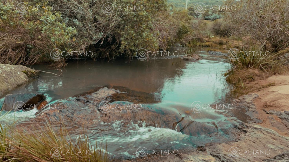 Zona Rural - GoPunta - Portal Inmobiliario de Punta del Este - Maldonado