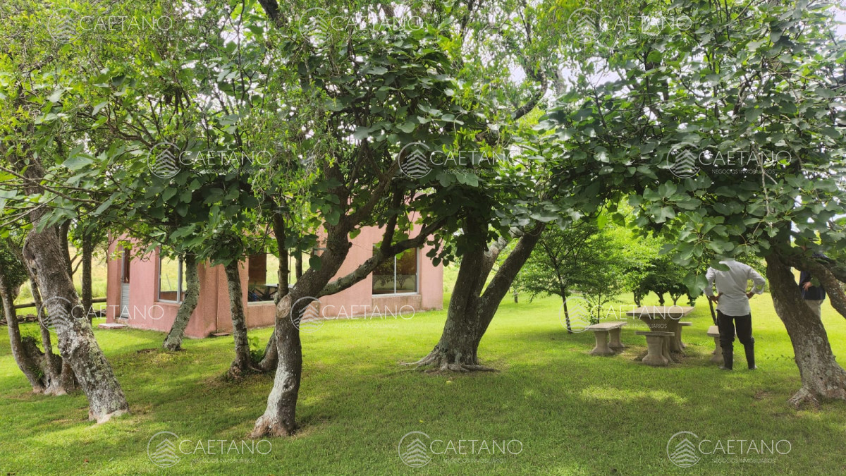 Pueblo Eden - GoPunta - Portal Inmobiliario de Punta del Este - Maldonado