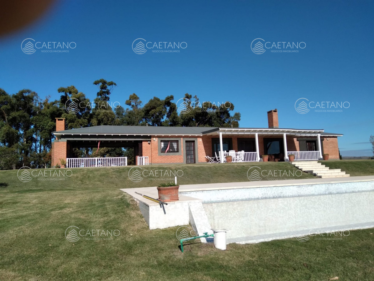 13685 32 - GoPunta - Portal Inmobiliario de Punta del Este - Maldonado